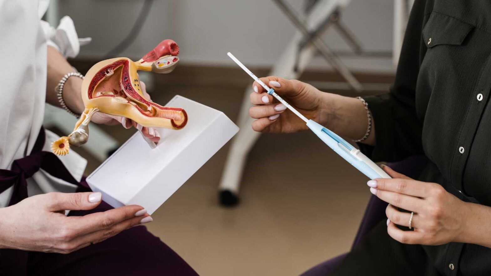 A doctor holding a female reproductive system model.