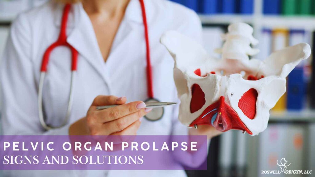 Pelvic floor anatomy model used to explain pelvic organ prolapse signs and solutions