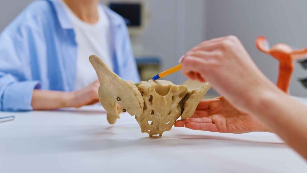 Doctor pointing at pelvic bone model explaining pelvic organ prolapse 